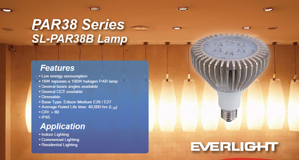 Everlight PAR38 13.5W